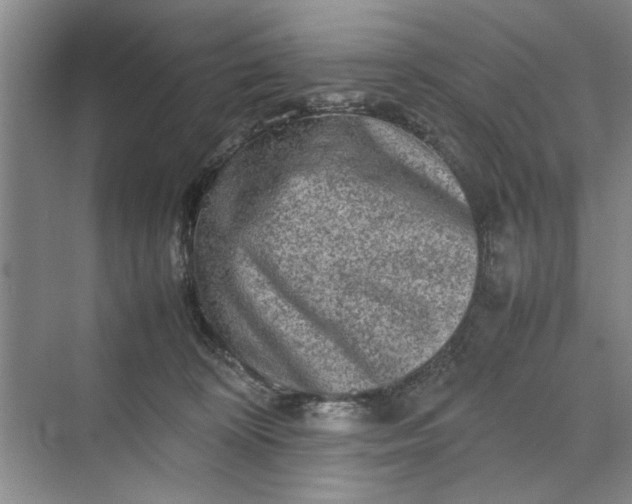 X0000070210324200606091631