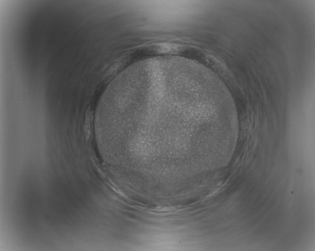 X0000070210325200606091631