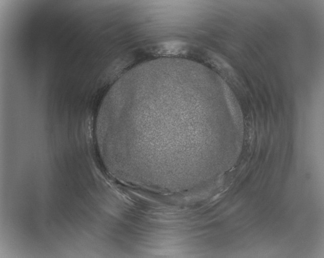 X0000070210326200606091631