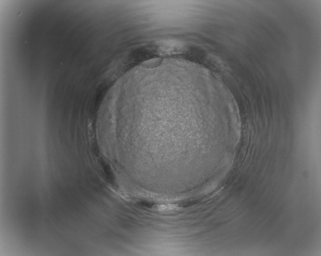 X0000070210327200606091631