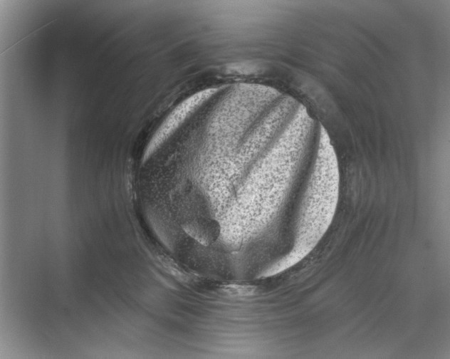 X0000070210328200606091631