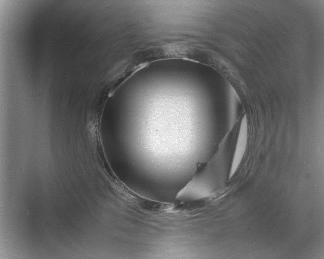 X0000070210329200606091631