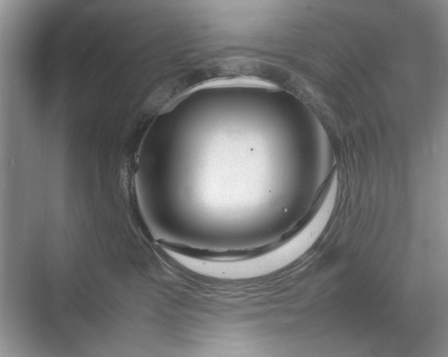 X0000070210333200606091631