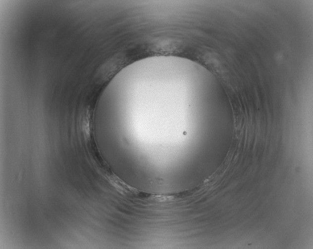 X0000070210334200606091631