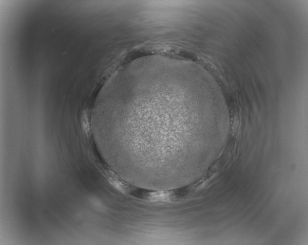 X0000070210335200606091631