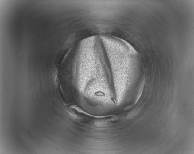 X0000070210336200606091631