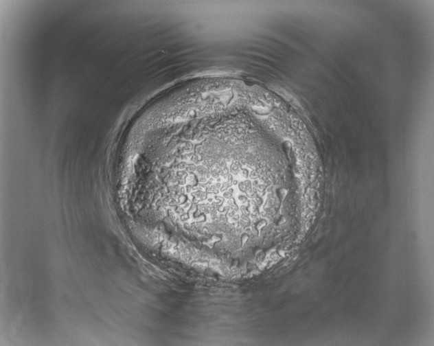 X0000070210337200606091630