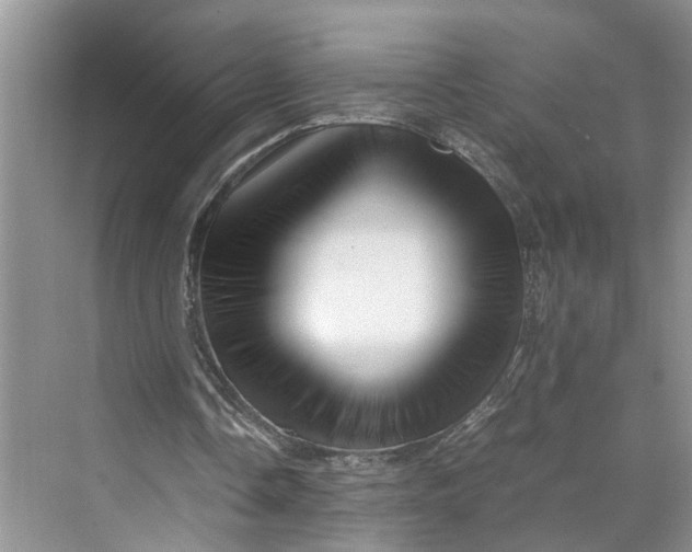 X0000070210338200606091630