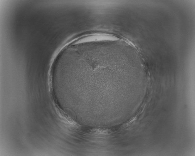 X0000070210343200606091630