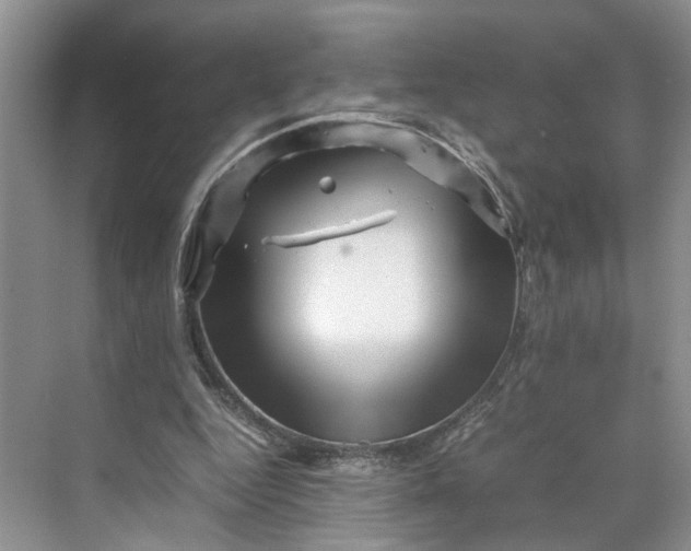 X0000070210344200606091630