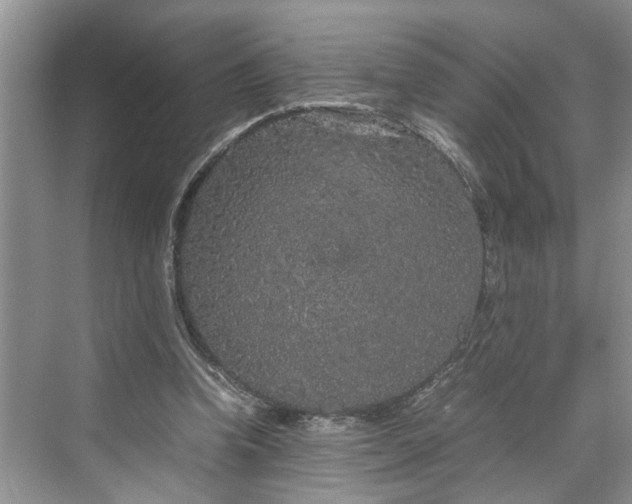 X0000070210346200606091630