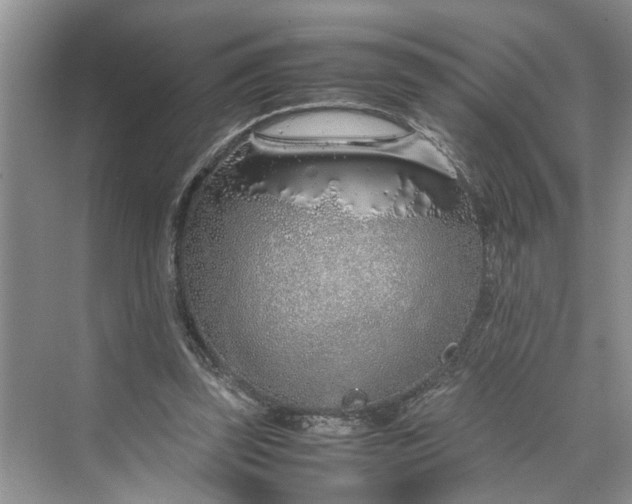 X0000070210347200606091630