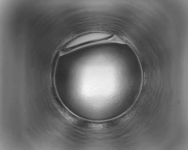 X0000070210349200606091630