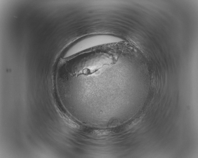 X0000070210351200606091630