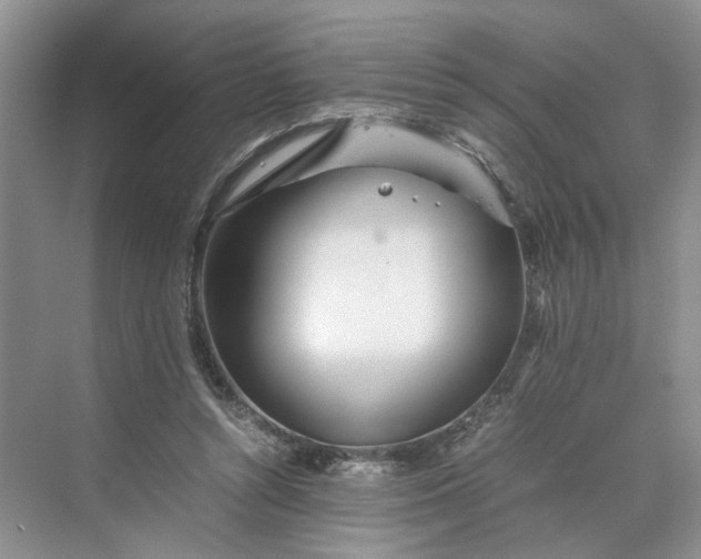 X0000070210352200606091630