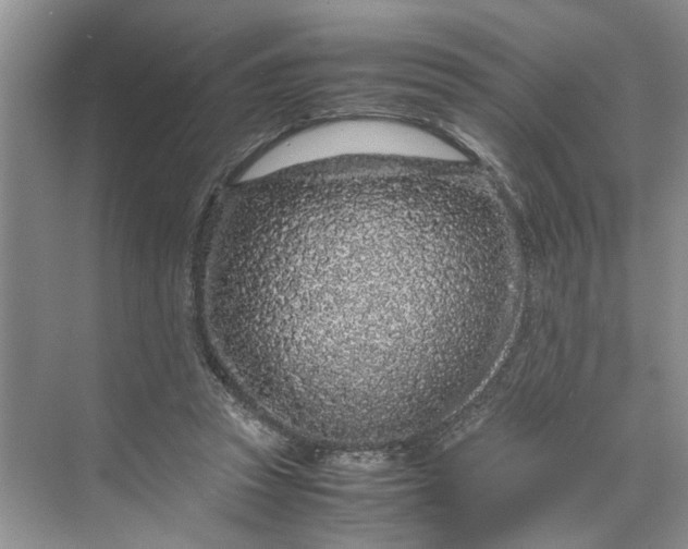 X0000070210353200606091630