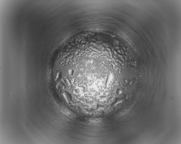 X0000070210355200606091630