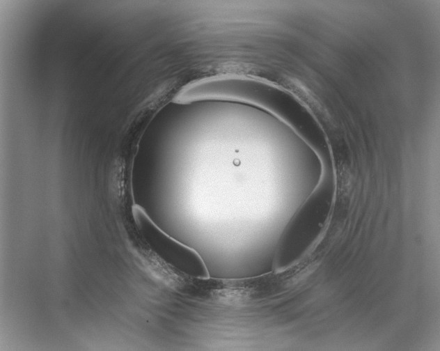 X0000070210356200606091630