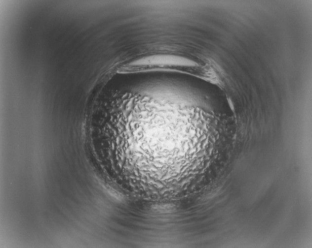 X0000070210357200606091630