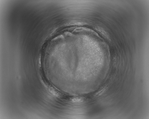 X0000070210358200606091630