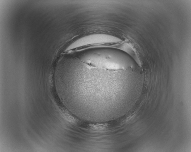 X0000070210359200606091630