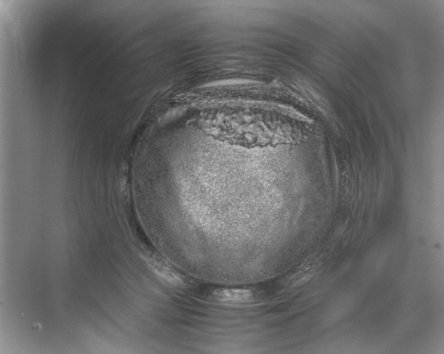 X0000070210361200606091630