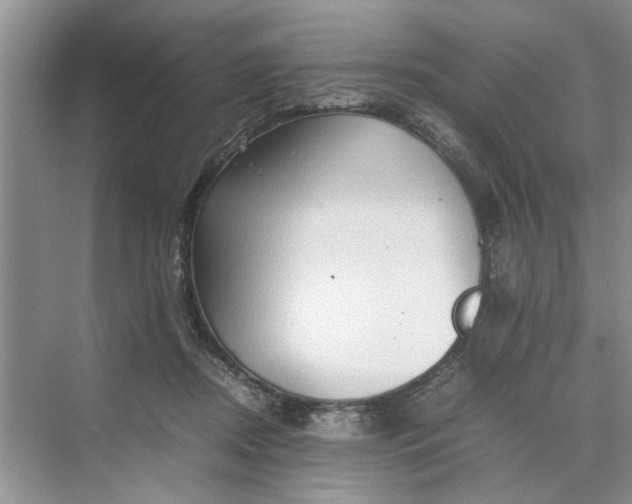 X0000070210362200606091630