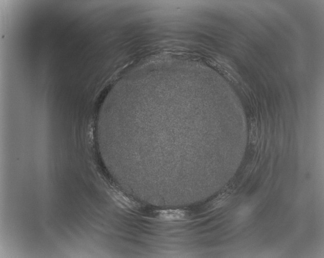 X0000070210363200606091630