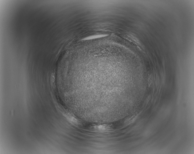 X0000070210365200606091630