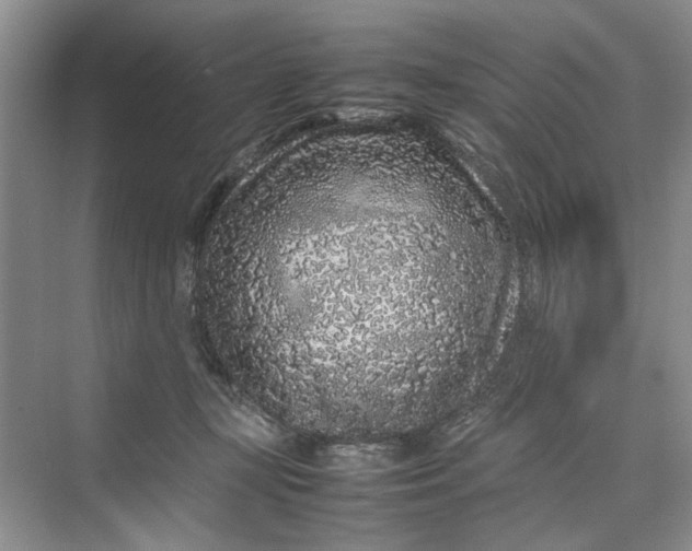 X0000070210367200606091630