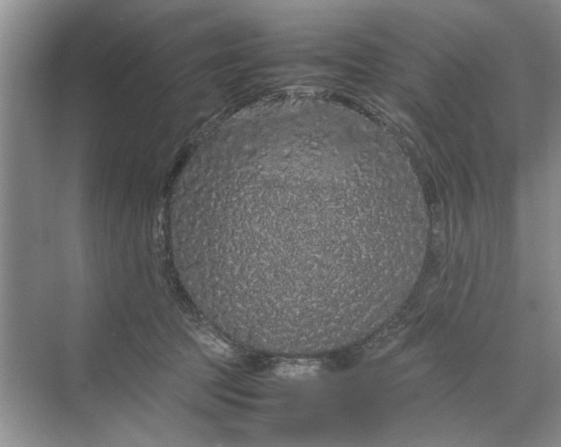 X0000070210369200606091630