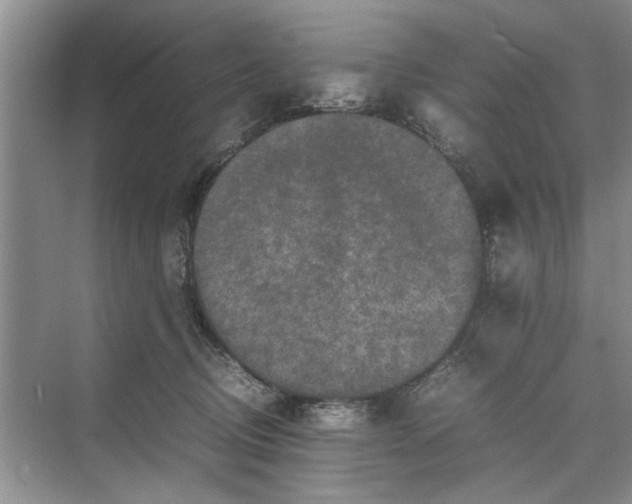 X0000070210370200606091630