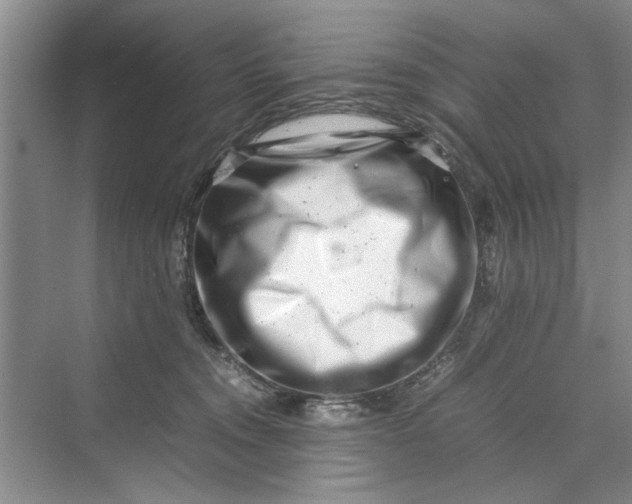 X0000070210372200606091630