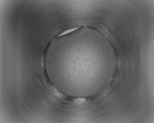 X0000070210374200606091630