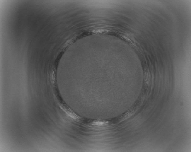 X0000070210375200606091630