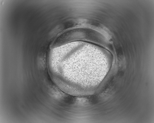 X0000070210376200606091631