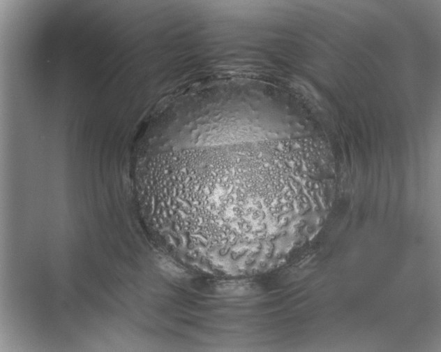 X0000070210377200606091631