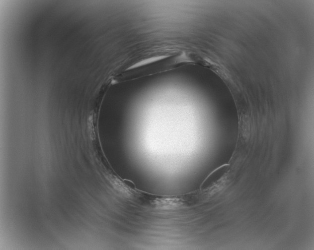 X0000070210378200606091631