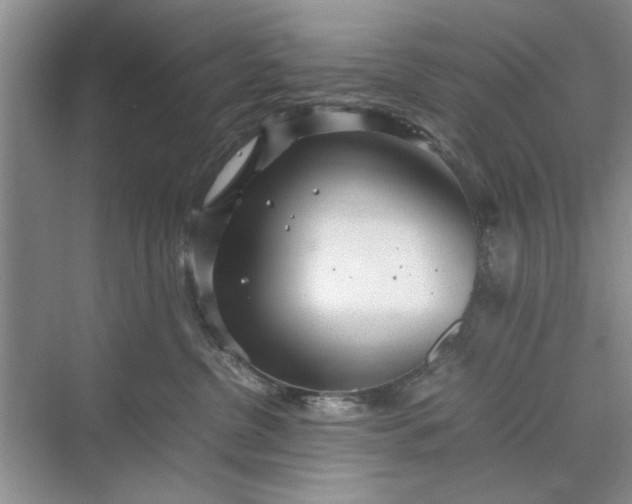 X0000070210380200606091631