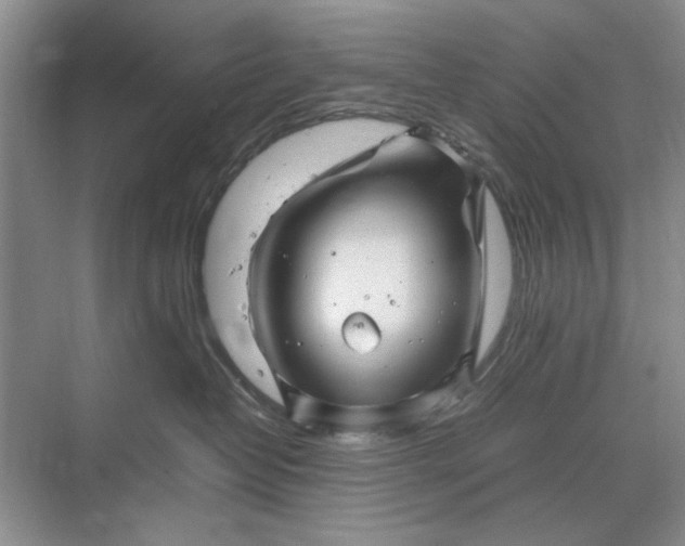 X0000070210382200606091631