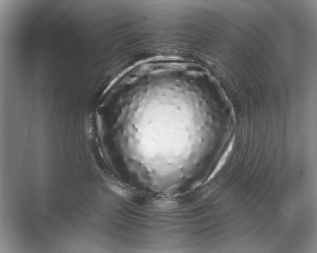 X0000070210383200606091631