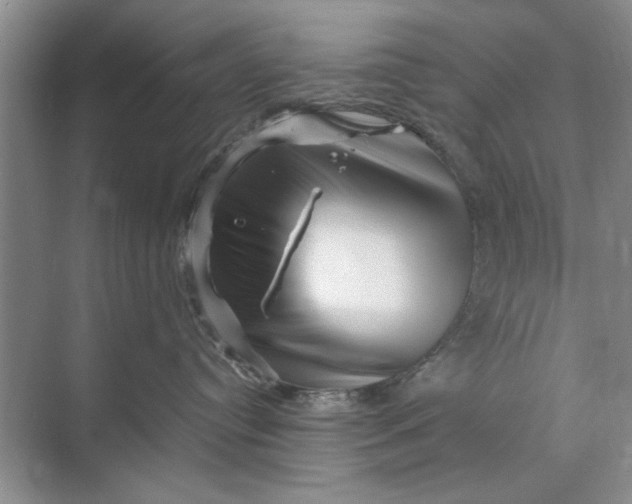 X0000070210384200606091631