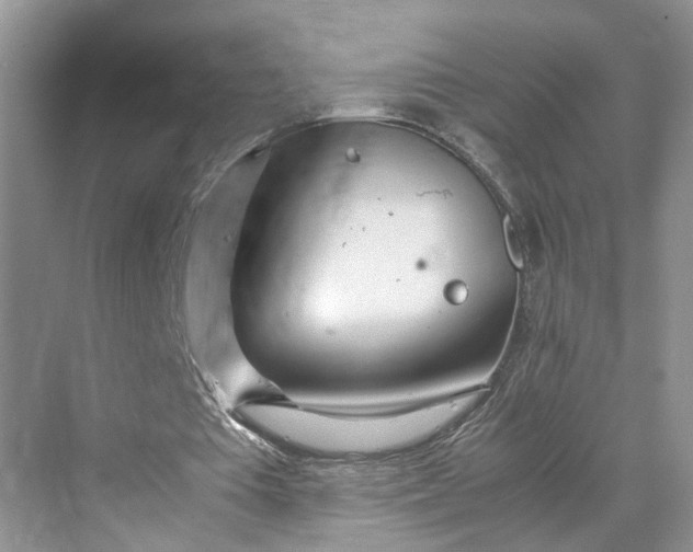 X0000070210385200606091630