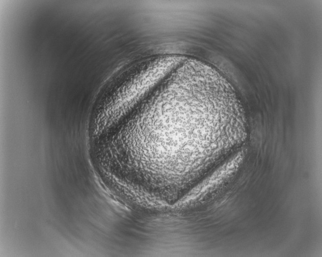 X0000070210386200606091630