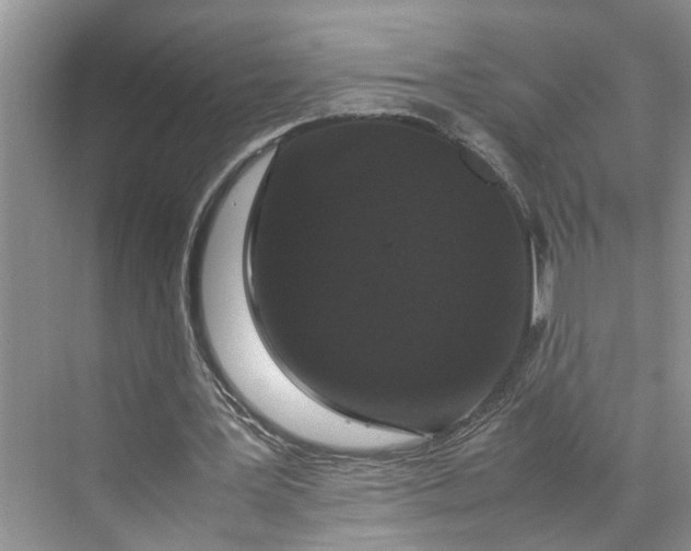 X0000070210387200606091630