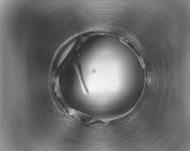 X0000070210388200606091630