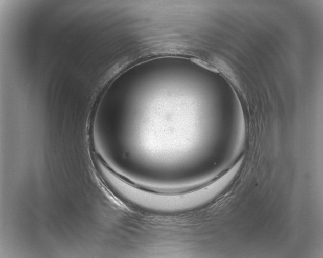 X0000070210389200606091630