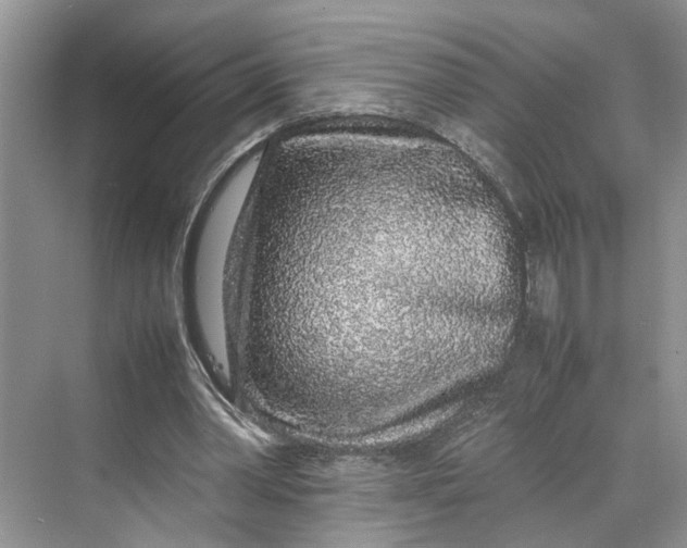 X0000070210390200606091630