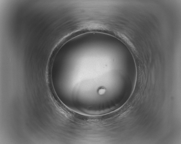 X0000070210391200606091630