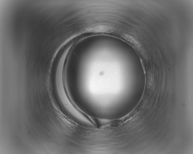 X0000070210392200606091630